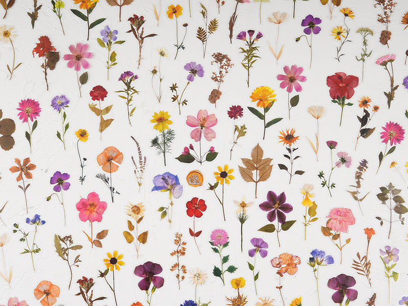 Knaid Vintage Flower Large Sticker Set (60 Pieces) Decorative Botanica