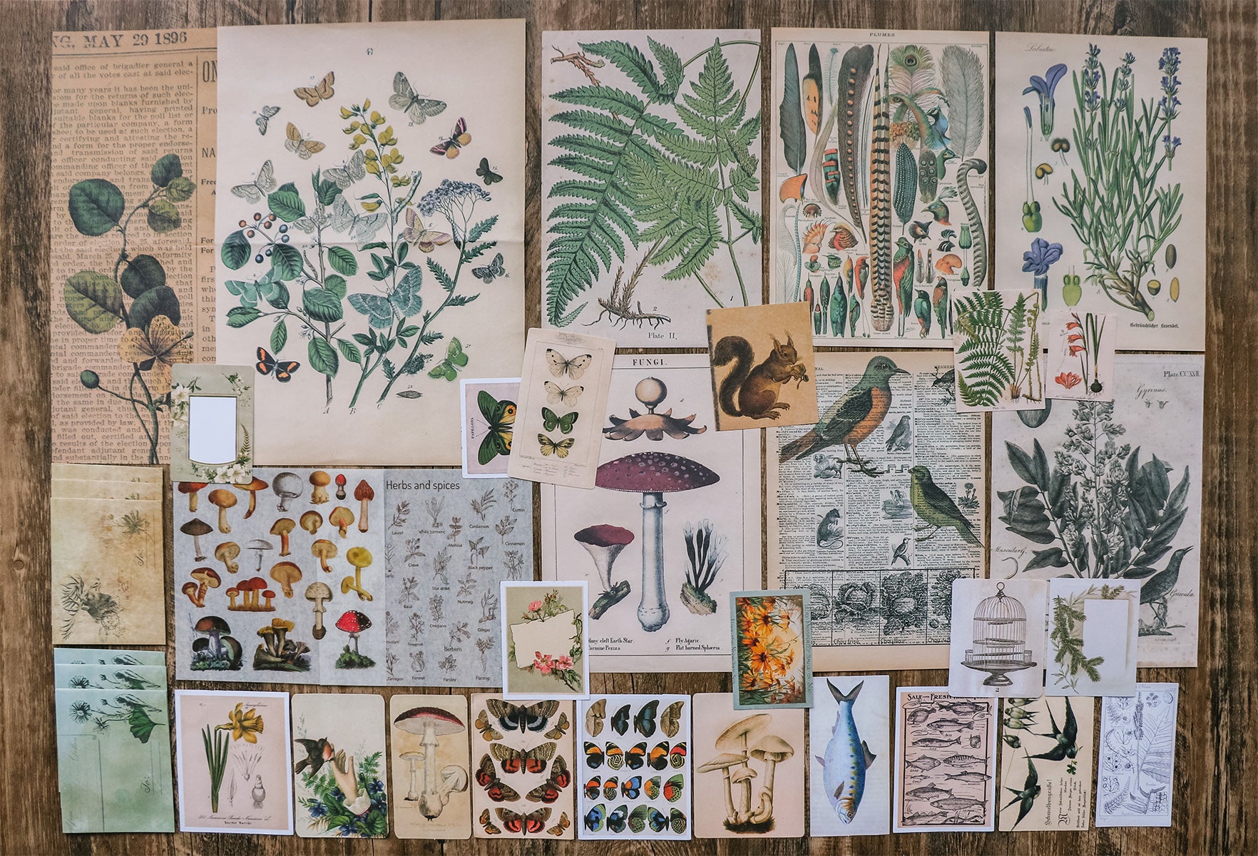 Translucent Vintage Plants Stickers Pack – Papergame